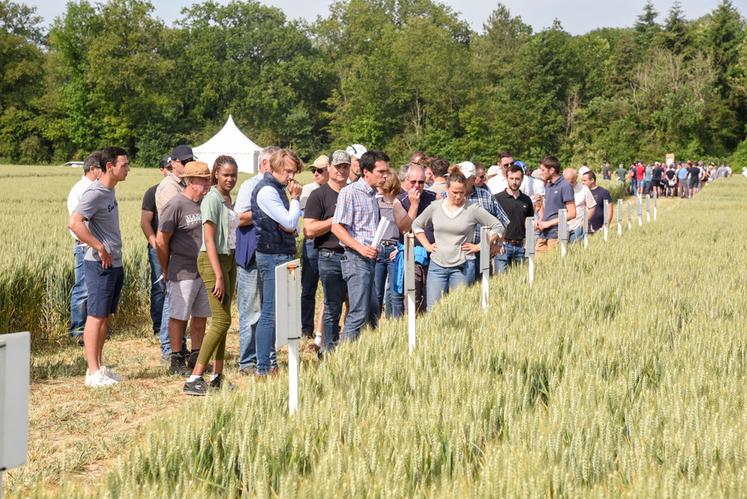 Les Rencontres agronomiques Axéréal mettront l'accent cette année sur les particularités agronomiques de chaque territoire.