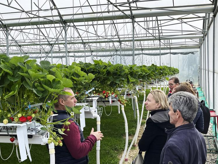 Mardi 7 mai, à Houdan (Yvelines). Damien Vanhalst fait visiter sa serre aux équipes de la DDT.