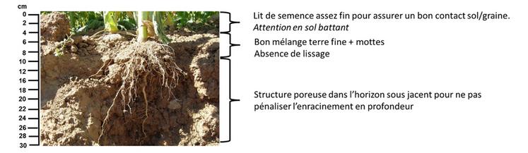 Il est important de travailler des sols ressuyés, à consistance friable sur l’horizon ou le profil travaillé. Cette grille de décision vous aidera dans l’évaluation de cette consistance.