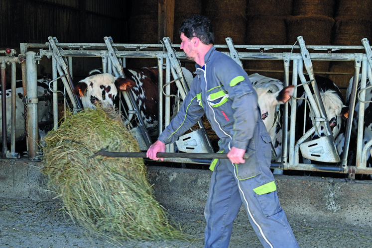 Les Services de remplacement de Loir-et-Cher permettent à des agriculteurs d'un même territoire de se faire remplacer ponctuellement.