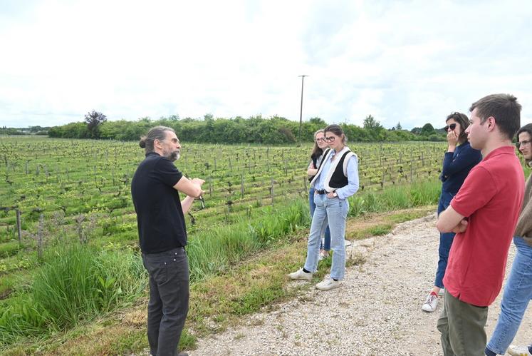 Le maître de chai, Vincent Bonnal, explique les techniques culturales du domaine ainsi que la vinification, avant une dégustation des vins. 