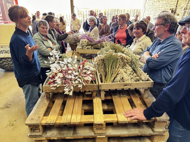 Lucie Henault va se lancer dans la production de fleurs séchées.