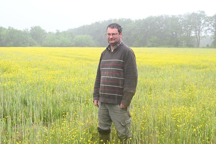 Sous une trombe d'eau, Fabrice Gaussant, éleveur de volailles à Montrieux-en-Sologne, revient sur ses semis de printemps compliqués par la météo capricieuse de cette année.
