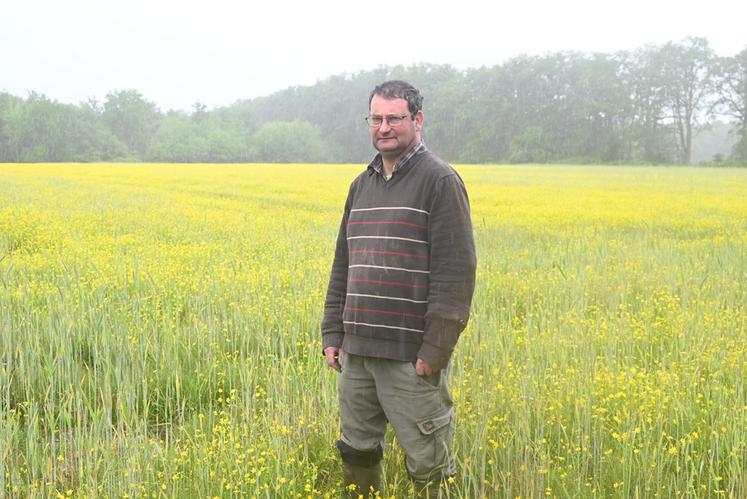 Sous une trombe d'eau, Fabrice Gaussant, éleveur de volailles à Montrieux-en-Sologne, revient sur ses semis de printemps compliqués par la météo capricieuse de cette année. 