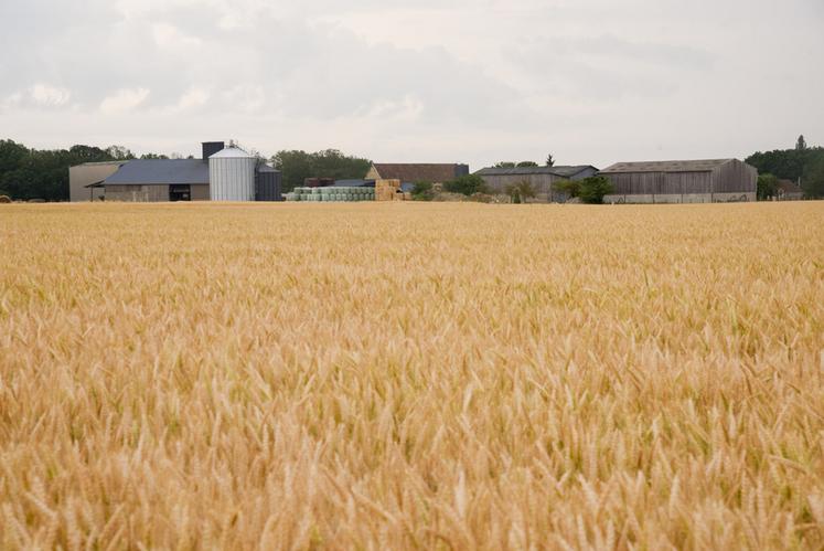 La priorité du SNPR, en assemblée générale du 30 mai au 1er juin, est de favoriser la mise à bail des terres agricoles.