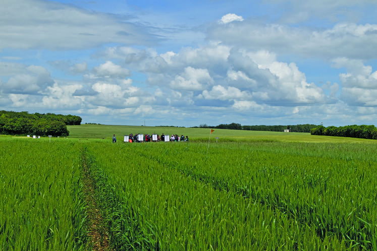 Jeudi 16 mai, à Villedieu-sur-Indre (Indre). La visite de la plateforme Syppre Berry s’est organisée en petits groupes.