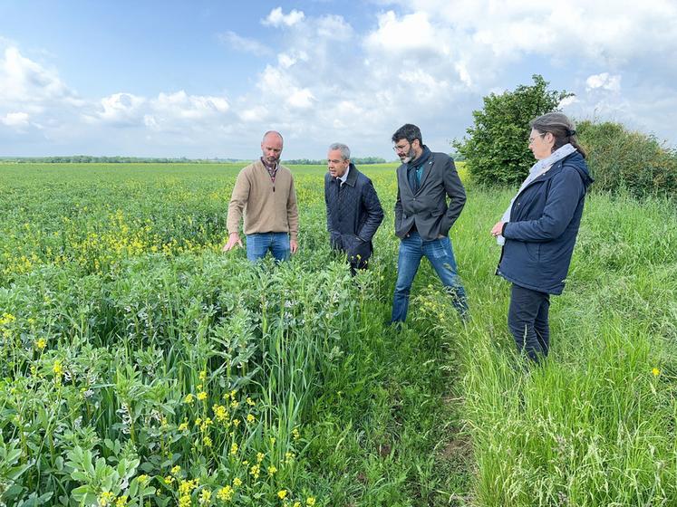 Mercredi 22 mai, à Néron. Exploitant en bio, Romain Lhopiteau (à g.) a fait un petit tour de plaine avec le préfet Hervé Jonathan et le vice-président de la Région, Jean-François Bridet.