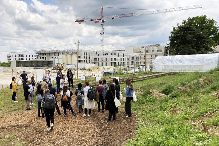 Vendredi 24 mai, à Châtenay-Malabry (Hauts-de-Seine). 40 personnes ont visité la ferme urbaine Chez Volterre.