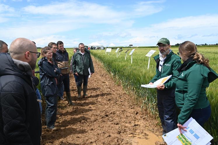 À Binas, jeudi 30 mai. Arvalis a organisé une visite d'essais. À l'image de la campagne 2024 actuelle, une trombe d'eau a accueilli les participants.
