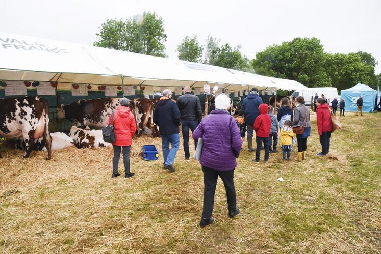 Dimanche 2 juin, à Dangeau. Le public a été très nombreux, environ 25 000 personnes selon les organisateurs, surtout le dimanche avec le retour du soleil.