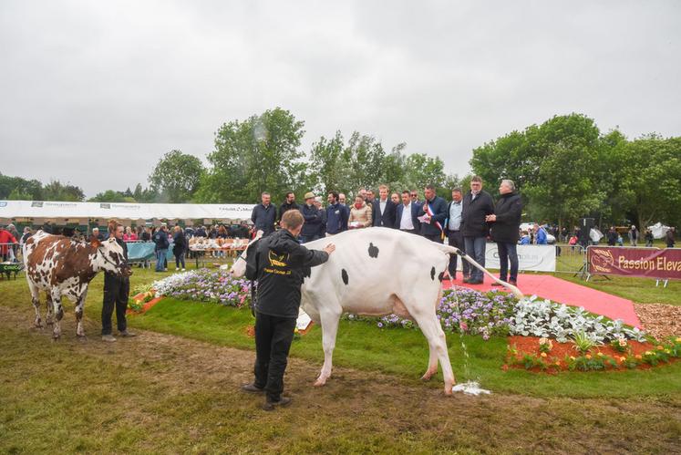 Finalement, il n'a pas plu comme vache qui pisse sur ce comice.