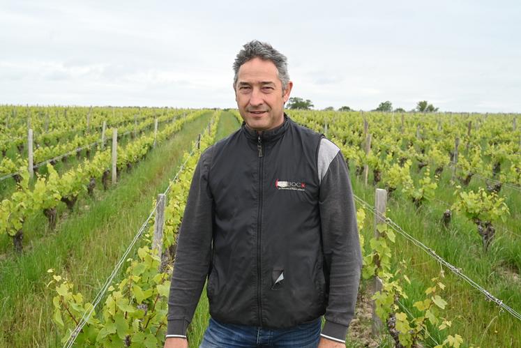 Jérôme Marcadet est vigneron à Feings et préside les appellations Cheverny et Cour-Cheverny. Il attend avec impatience le retour du soleil et d'un temps plus sec. 