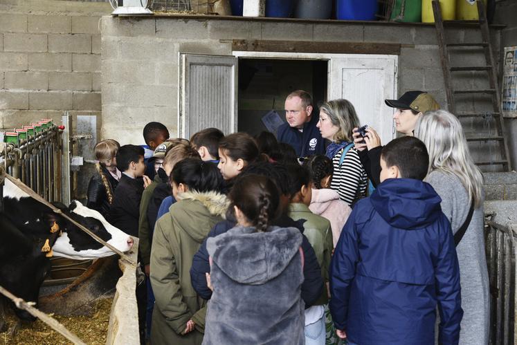 Les écoles venues en visite ce jour-là ont toutes proposé un prénom pour un veau né au Gaec dans la nuit du 3 au 4 juin. L'école élémentaire du Chêne-Maillard a été tirée au sort et a choisi le prénom Volenica.
