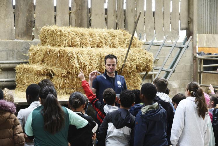 À Fay-aux-Loges, certains élèves de l'école élémentaire Henri-Wallon ont découvert le Gaec des Maisons Pavées. Ils ont pu en apprendre plus sur l'alimentation bovine.