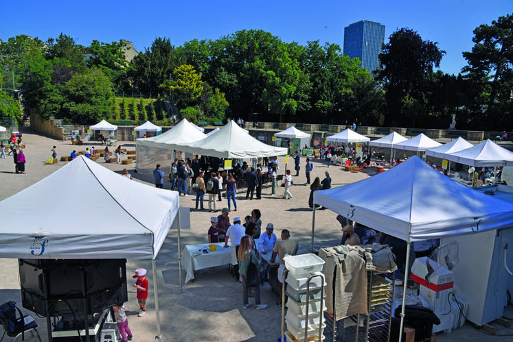 Vendredi 7 juin, aux arènes de Lutèce à Paris. Les classes d'écoles primaires du quartier ont découvert le monde agricole, les visiteurs petits et grands passant de stand en stand, entre cuisine, test de produits et ateliers ludiques.