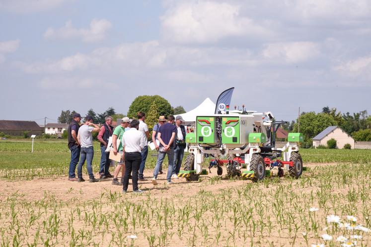 Jeudi 6 juin, à Illiers-Combray. Le robot Orio de Naïo technologies désherbinant du maïs a été l'un des centres d'intérêt des adhérents de la Scael lors de cet Agricampus.