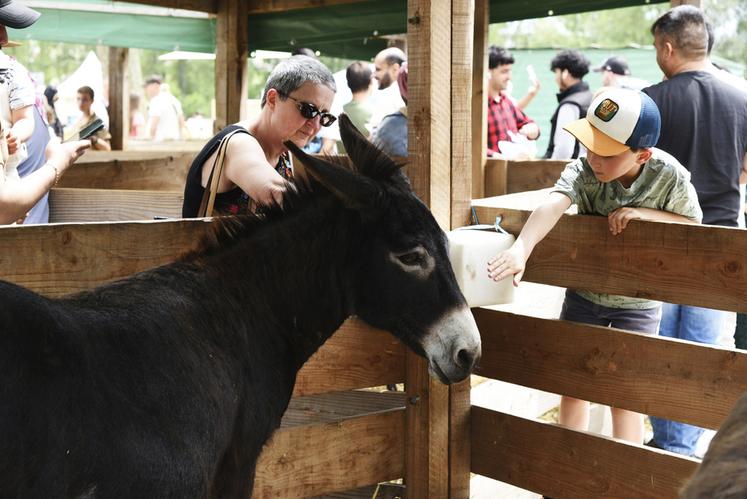 Les stars du week-end étaient les animaux de la ferme vivante et itinérante des Gens de la Terre.