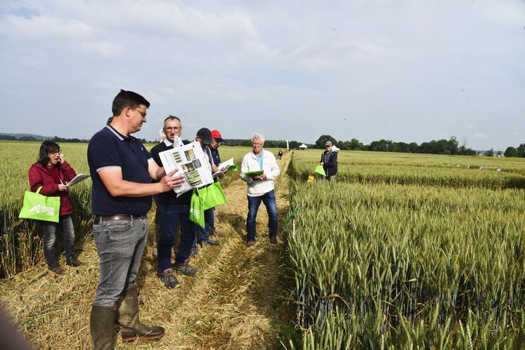 Mardi 4 juin, à Méré (Yvelines). Nicolas Greaume, technicien de la Chambre, expose les résultats d'un essai sur les biocontrôles/fongicides.