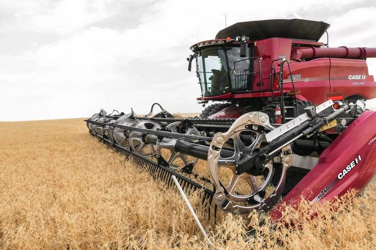 Comme New Holland, Case IH commercialise les coupes à tapis MacDon sous ses couleurs.