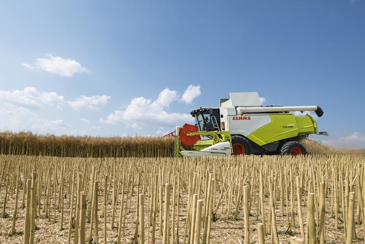 Les agriculteurs récoltant une surface importante de colza ont tout intérêt à s’équiper d’une barre de coupe limitant les pertes.