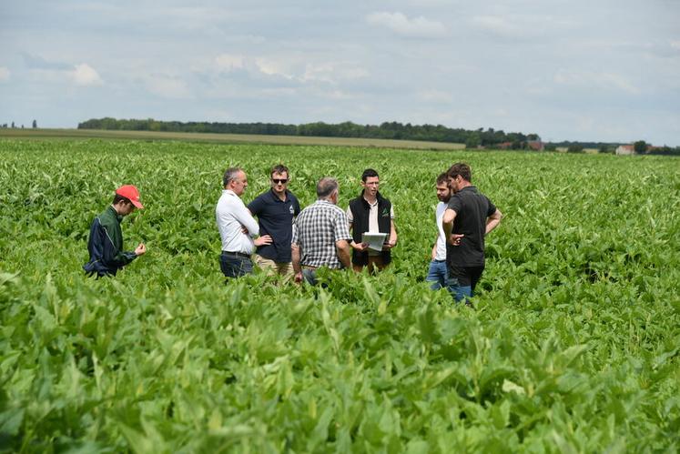 Mercredi 5 juin, à Villemoutiers. Une demi-journée technique était organisée autour de la culture de silphie. Une visite de parcelle a eu lieu.