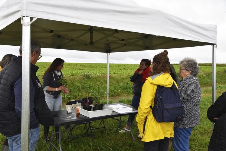 Le stand de Fredon IDF a permis aux participants d'être alertés sur les risques liés à l'ambroisie. 