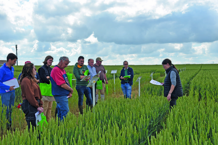 Mauperthuis, mercredi 12 juin. Cinq ateliers étaient au programme de la plateforme technique de la chambre d'Agriculture.