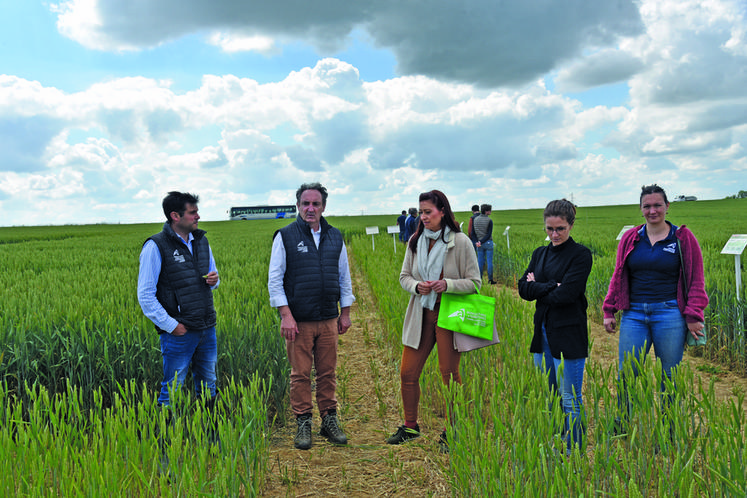 Clément Torpier accompagne Karine André, chargée de mission PCAET à la communauté de communes du Val Briard. 