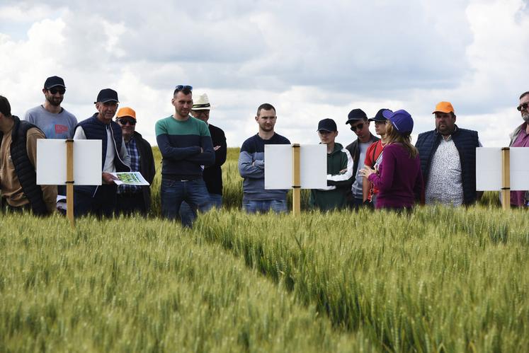 Mardi 11 juin, à Autruy-sur-Juine. Les Rencontres agronomiques Axéréal ont accueilli dans le Loiret plus de 150 personnes tout au long de la journée.