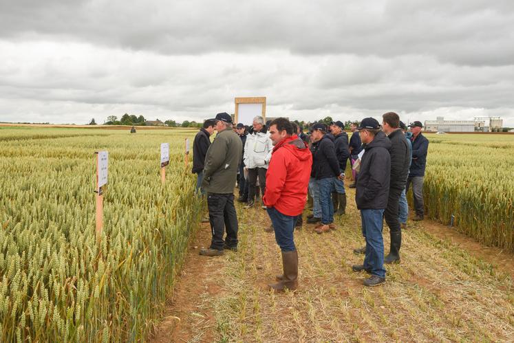 Vendredi 14 juin, à Villemaury. Le groupe Axéréal a mis en place une belle plateforme d'essais, orientée agriculture régénérative.