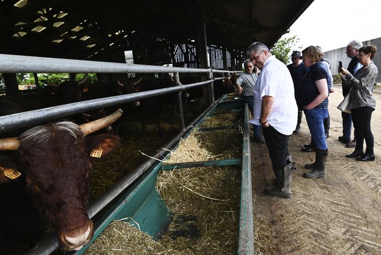 Lundi 17 juin, à Boisseau. Plusieurs présidents de fédérations des bouchers des départements de la région Centre-Val de Loire ont visité l'élevage de Pierre Bourbon.