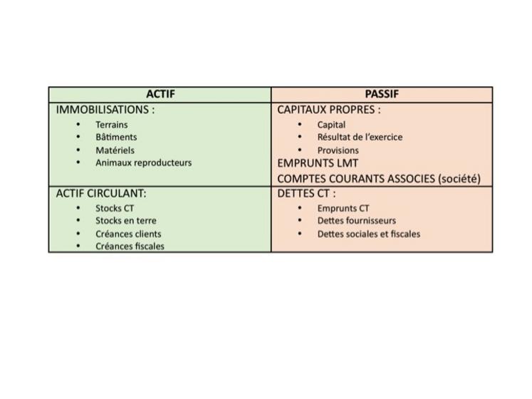 Les éléments constitutifs du bilan. 