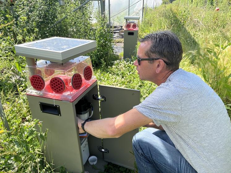 Les pièges Pira sont simplement posés au sol, alimentés par un capteur solaire.