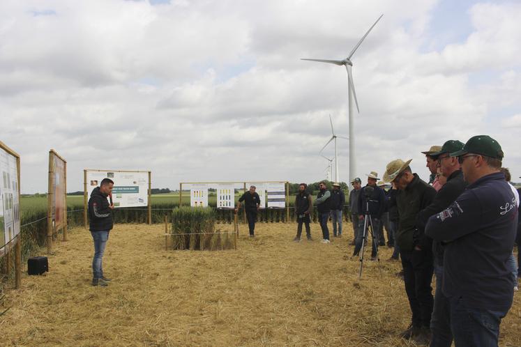 Le 12 juin, à Saint-Just-en-Chaussée (Oise). Les participants à la plateforme TMCE assistent à une présentation de l’intérêt de TMS et TMF dans la gestion des résidus de récolte et des maladies du blé.