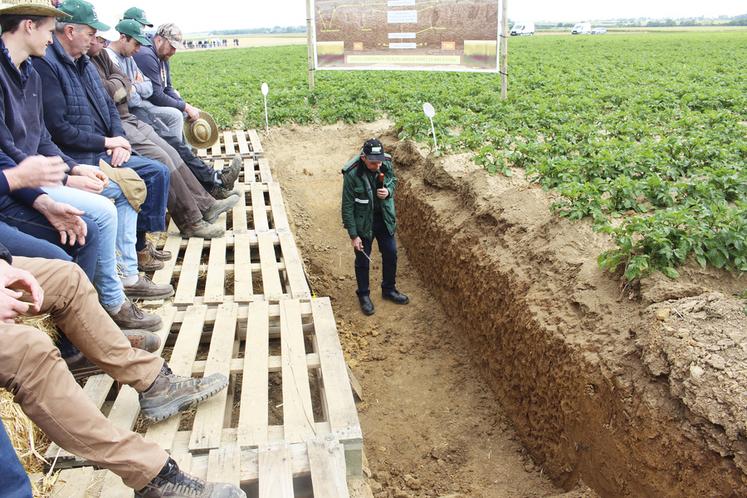 Un sol bien colonisé, des vers de terre actifs, une vie microbienne abondante et équilibrée caractérisent les terres de la Ferme de Trémonvillers.