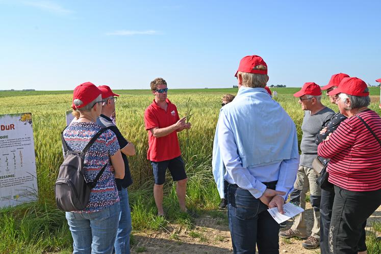 Vendredi 7 juin, à Beauce-la-Romaine. Baptiste Menon, céréalier, a ouvert son exploitation, en partenariat avec Panzani, à l'occasion des Journées nationales de l'agriculture.