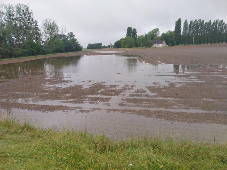 Les précipitations incessantes des derniers mois ont provoqué des inondations dans les champs, comme ici à Saint-Gourgon en Loir-et-Cher (photo prise le 27 juin).