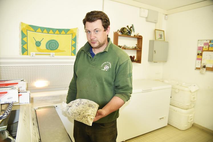 Les chairs blanchies des escargots sont ensuite cuisinées pour constituer des préparations typiques pour les fêtes : petits gris en coquille, en feuilleté, etc.