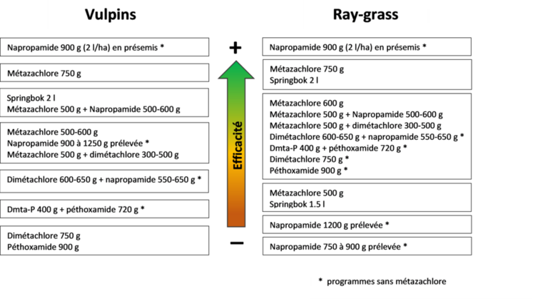 Synthèse des efficacités sur vulpins et ray-grass des applications au semis (essais de Terres Inovia).