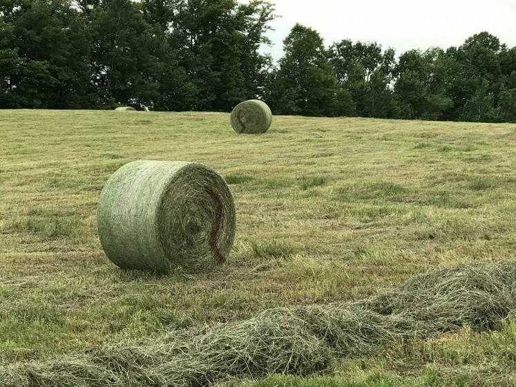 Le dispositif HarvestTec facilite l’identification des balles trop humides en les marquant avec un trait lors de l’ouverture de la porte.