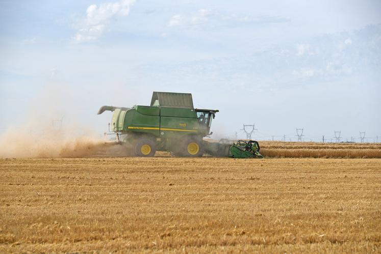 Samedi 20 juillet, c'est sous des températures enfin estivales (30 °C) que la moisson se passe près de Saint-Péravy-la-Colombe.