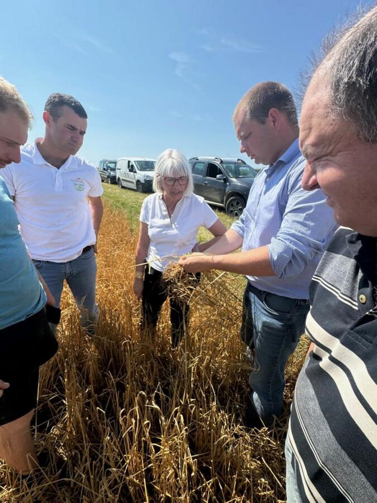 Guercheville, jeudi 18 juillet. La vice-présidente de la Région visite une parcelle de céréales touchée par la grêle.