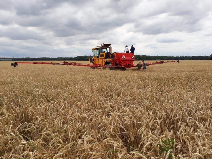 Le drône ou Sem'àlavolée77 sont deux outils innovants pour implanter ses couverts avant moisson et bénéficier d'avantages agronomiques et environnementaux.