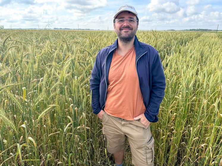 Le 1er juillet, à Broué. Adrien Pelletier a créé la Pop Orvilliers, la première semence de blé bio MHB inscrite en France.