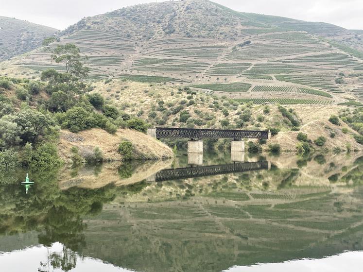 Durant la navigation, la découverte du travail de l’homme qui a façonné le paysage avec des terrasses couvertes de vignes était au programme.