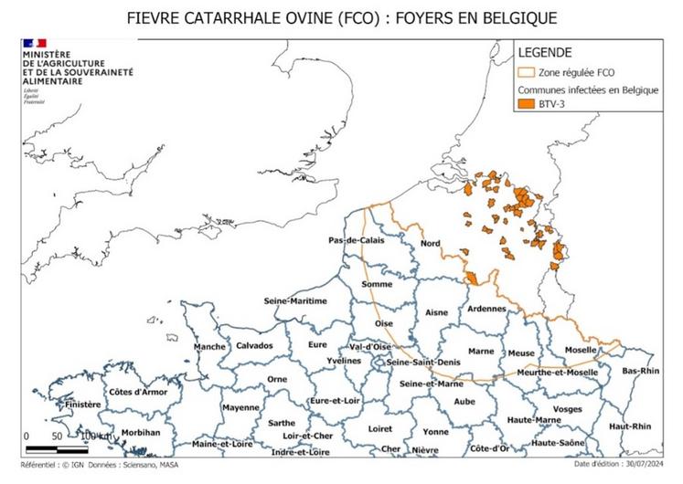 Fièvre catarrhale ovine : carte des foyers et des zones régulées au 31 juillet.