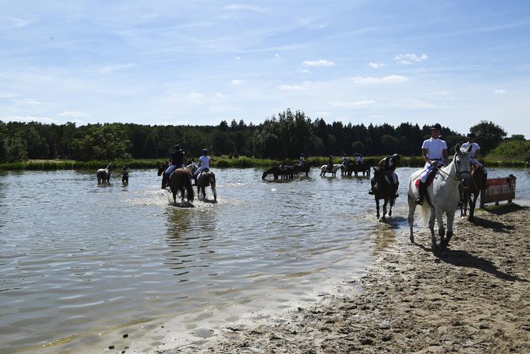 Les températures sont restées acceptables durant les deux semaines de compétition. Toutefois, pour le bien-être des chevaux, les cavaliers ont régulièrement fait des pauses fraîcheur. 