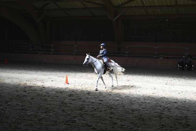 Plus de 14 500 cavaliers étaient engagés sur les 17 jours de compétitions du championnat de France à Lamotte-Beuvron. 