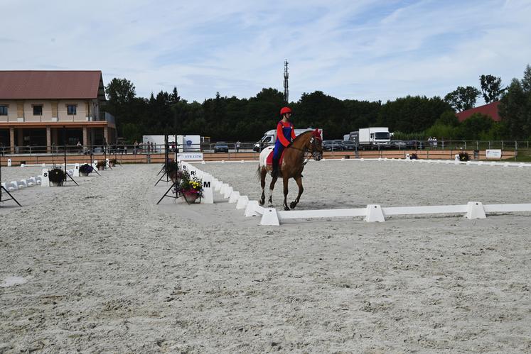 Les épreuves de dressage ont permis aux concurrents de mettre à rude épreuve leur imagination, avec des univers divers et variés. Dont celui de Mario que nous n'avions jamais vu auparavant à cheval...