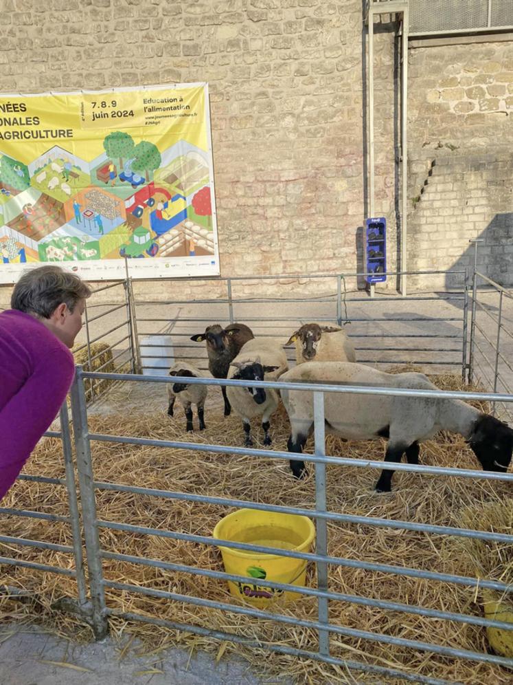 L'association Agriculteurs d'Île-de-France a participé aux JNA début juin.